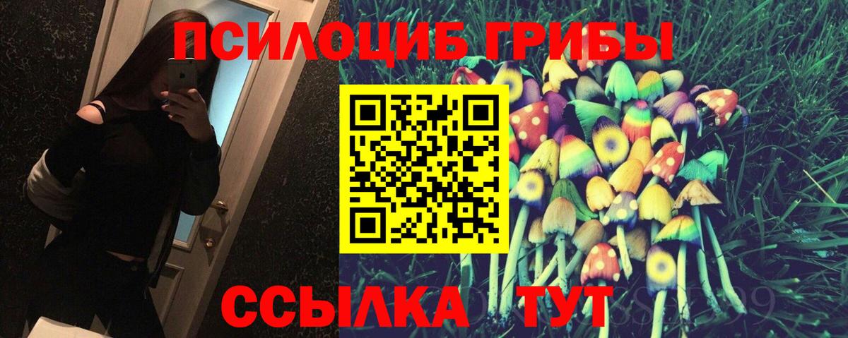 Псилоцибиновые грибы мицелий Шелехов
